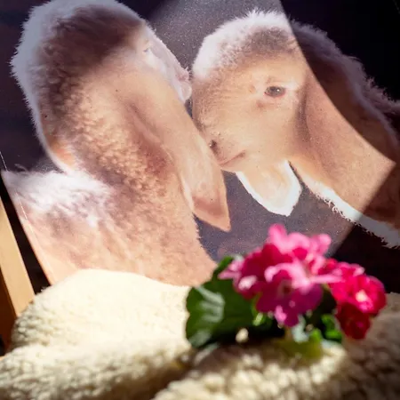 Apartamento Bockstecken *