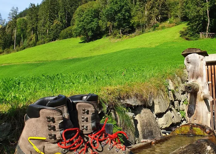 شقة فيرينهاوس بوكستيكن