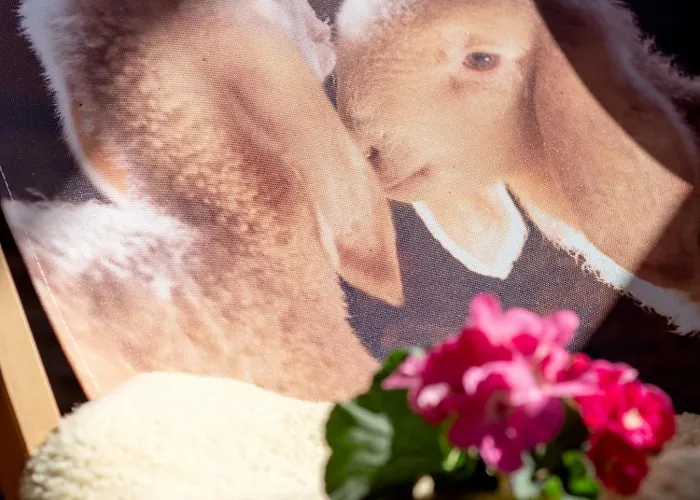 شقة فيرينهاوس بوكستيكن *